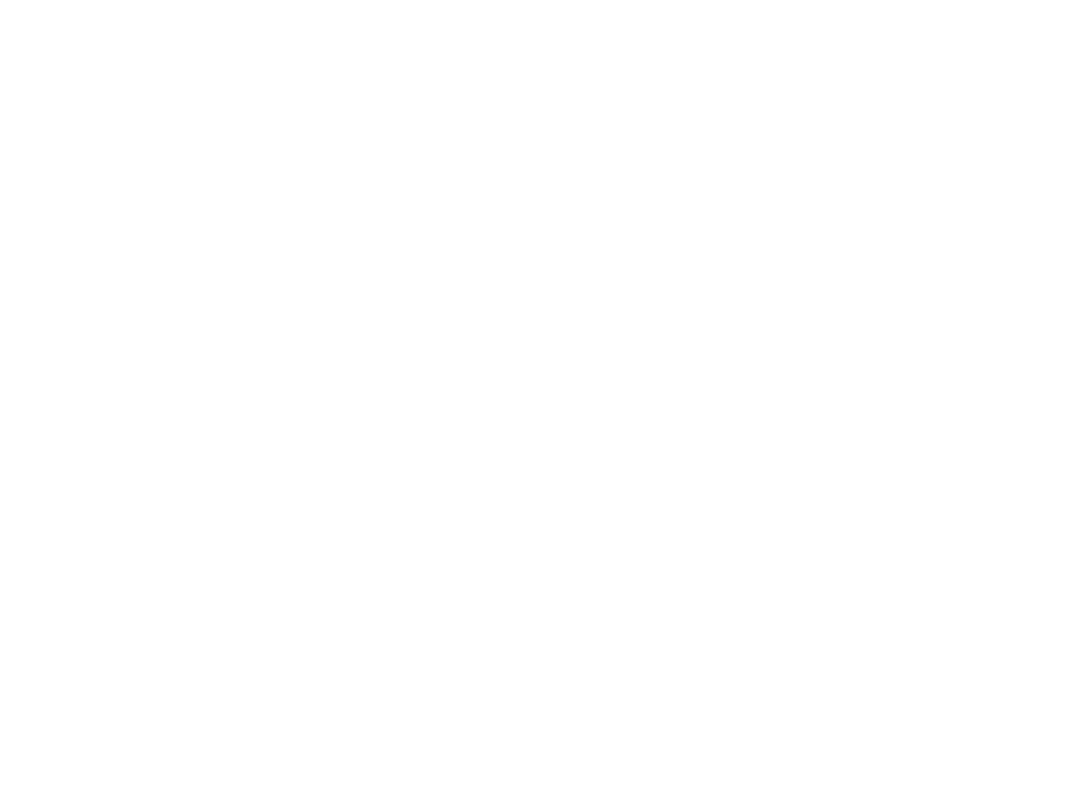 · CHANGAN NEVO